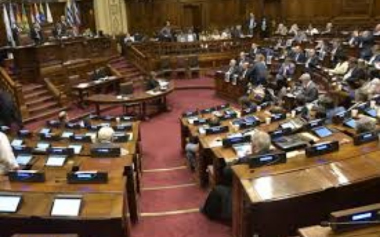 Parlamento del Mercosur: debate sobre elecciones directas y recomendación