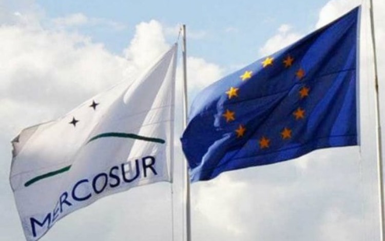 Fiscalías del Mercosur piden colaboración para investigar delitos trasnacionales