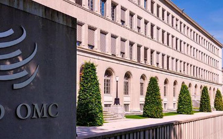 Hacia la Duodécima Conferencia Ministerial de la OMC