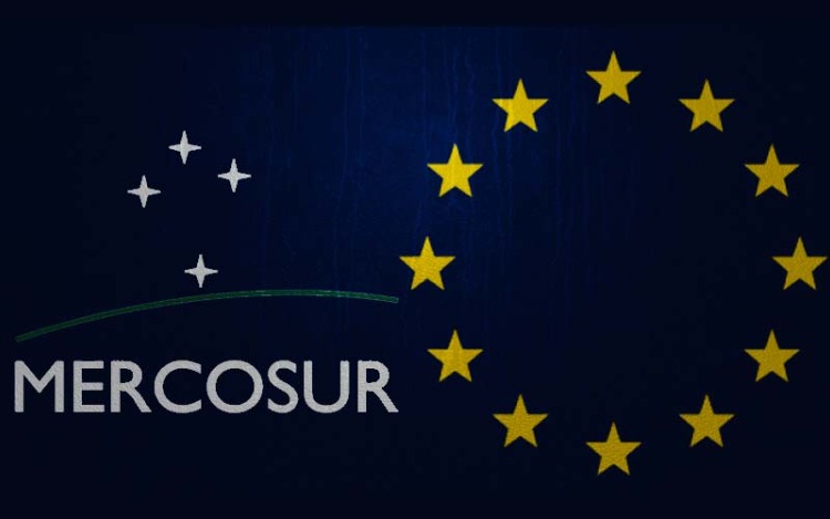 Mesa académica: TLC Mercosur-UE. La visión de Europa