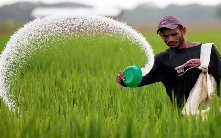 Junta Interamericana de Agricultura: sanciones amenazan la seguridad alimentaria en la región