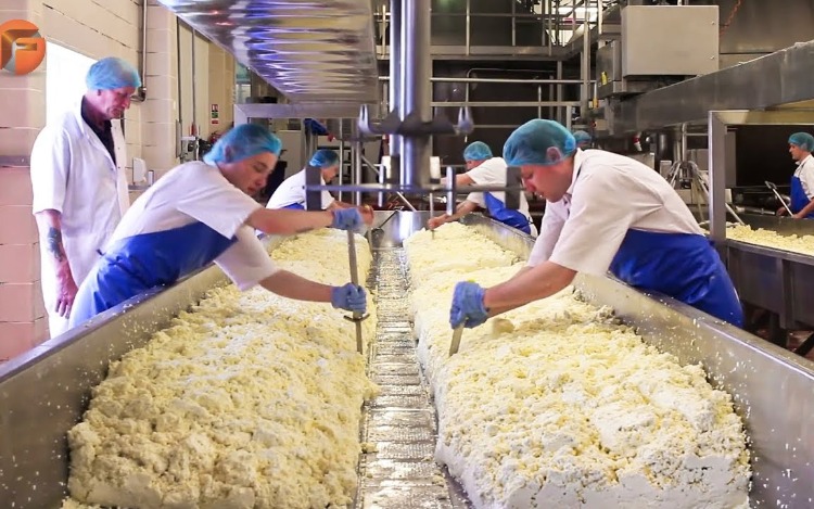 La PyME Capilla del Señor exporta quesos sin lactosa con el apoyo de Industria y del INTI