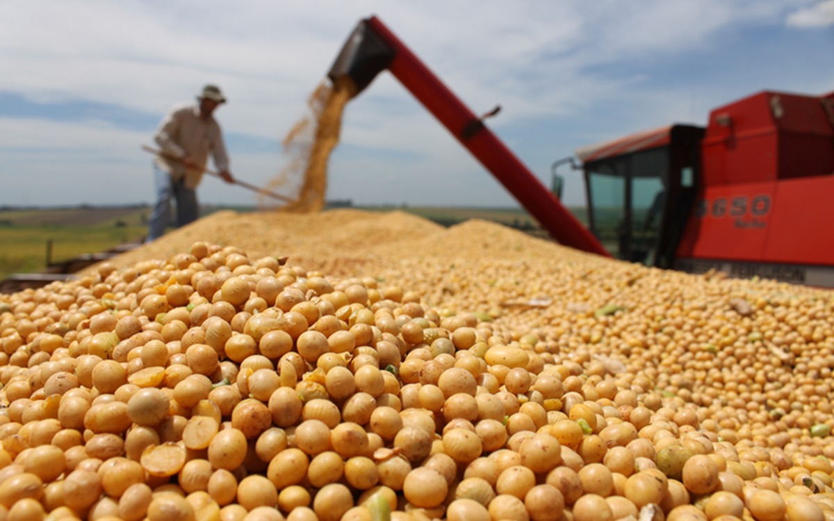 SELA-FAO - Invitación a la Conferencia Magistral “El estado de los mercados de productos básicos agrícolas”