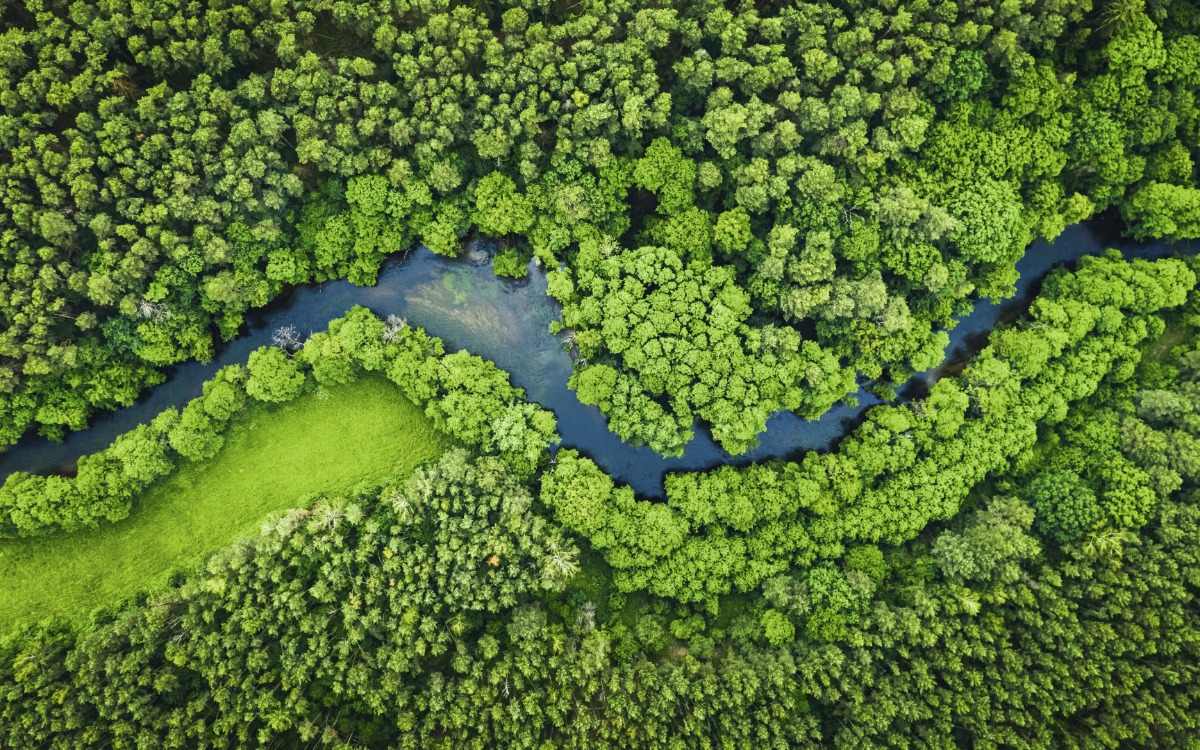 Brasil: Integración mundial de mercados de carbono para una inclusión justa
