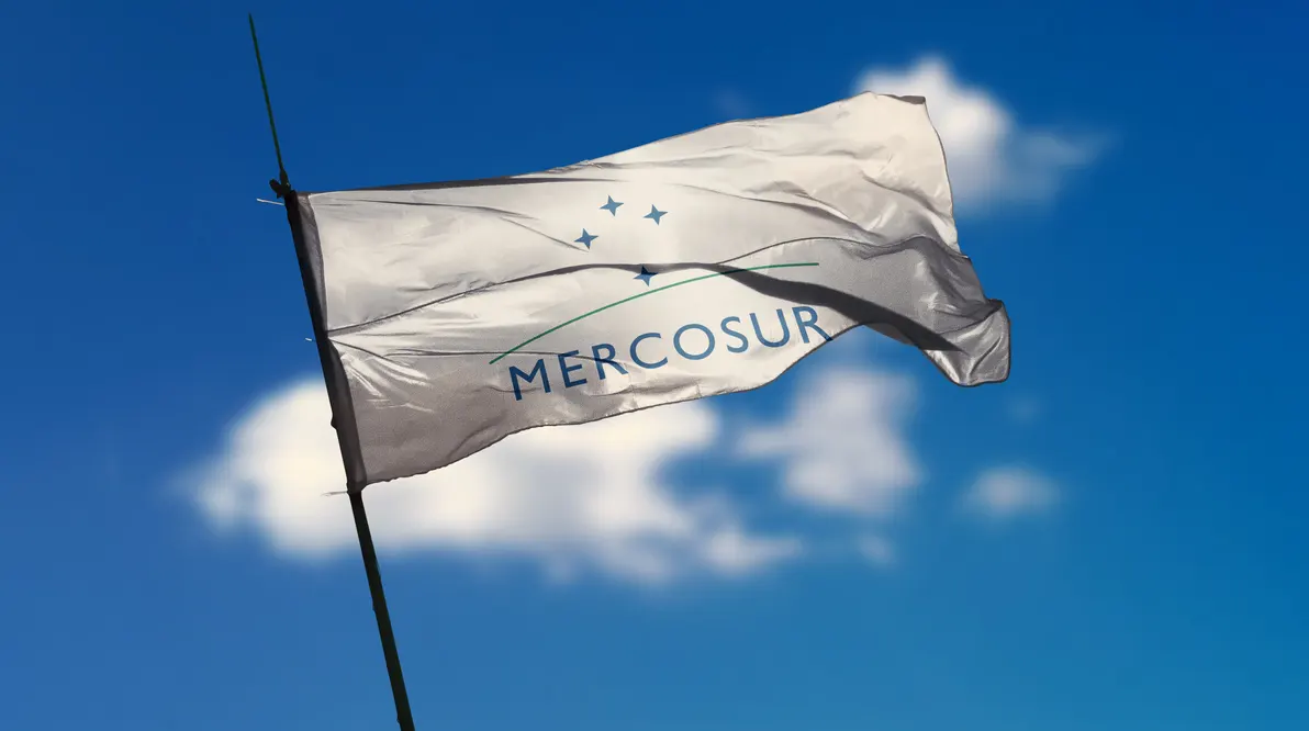 FOCEM cumple 20 años